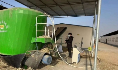 农牧业公司开展春节前养殖场清静生产大检查