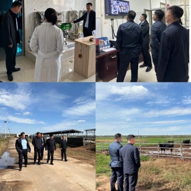 EVO视讯官网投资集团开展国庆节前清静检查事情