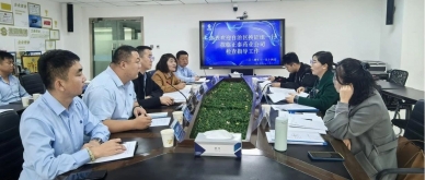 正泰药业接受自治区换证组现场检磨练收