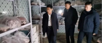 冷链不“掉链”，，，，，，，，筑牢清静线