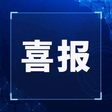 喜报！伊金霍洛旗惠众融资担保有限责任公司荣获融资担保团队建设优异奖项