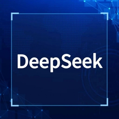 看！DeepSeek眼中的EVO视讯官网投资集团