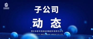 以审促改 以改增效丨圣鼎公司扎实推进审计整改落地收效