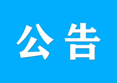 鄂尔多斯市金财资产治理有限责任公司资产处置惩罚通告